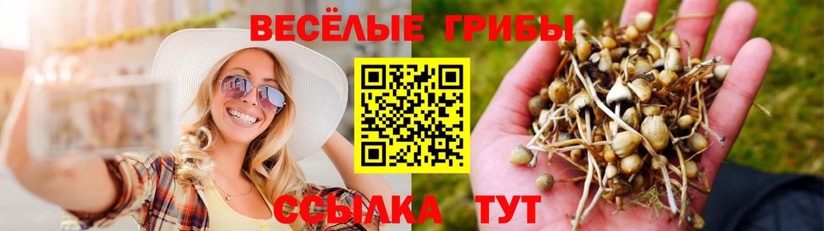 Галлюциногенные грибы MAGIC MUSHROOMS  Вход с VPN  Бор 